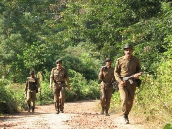 Police arrest ‘Halam Tiger Force’ militant Police arrest ‘Halam Tiger Force’ militant